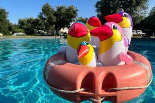 Intensivkurs im Herbst - Jetzt anmelden!