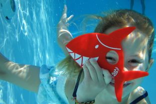 Intensivkurse in den Frühlingsferien - Jetzt anmelden! 🐬